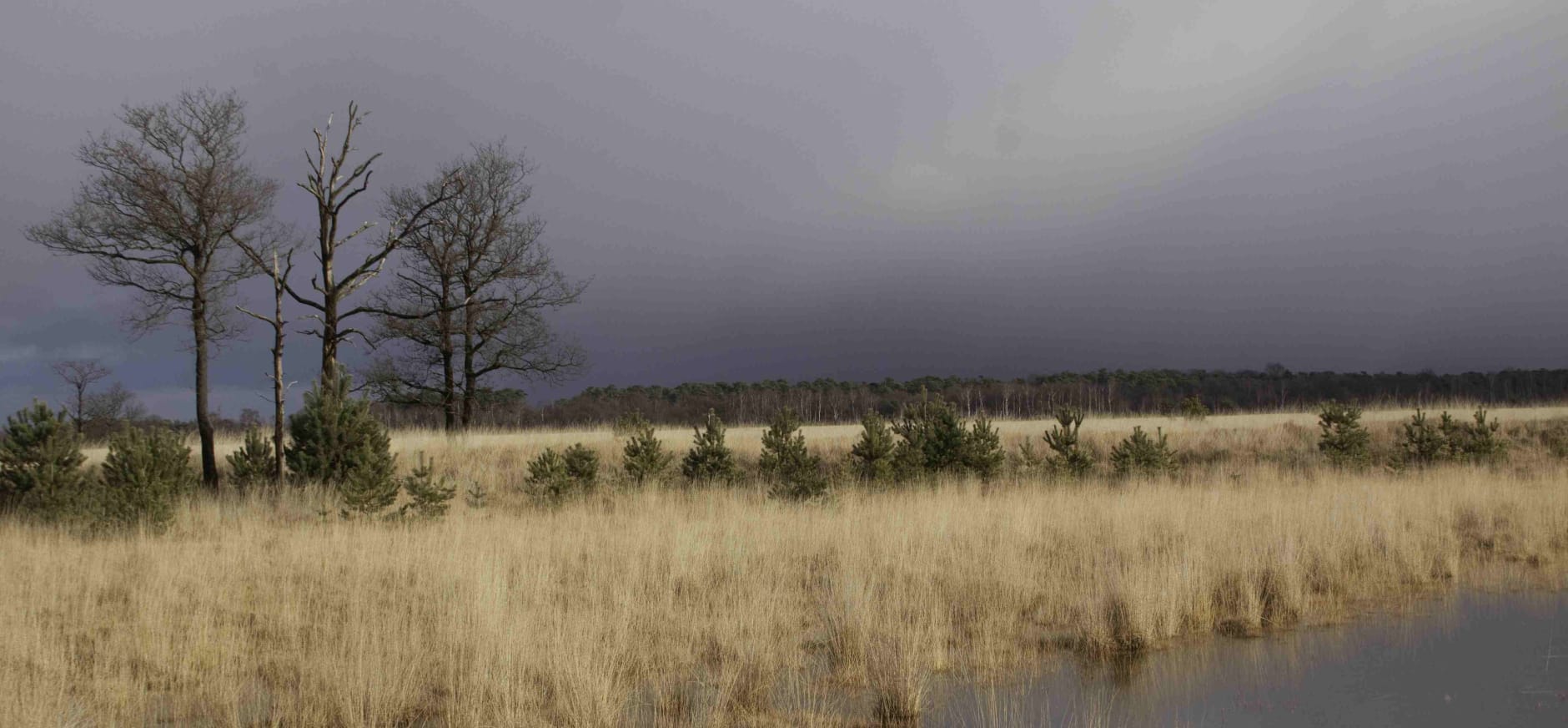 Kampina-stikstof-Stefan-Claessens-ag9790b