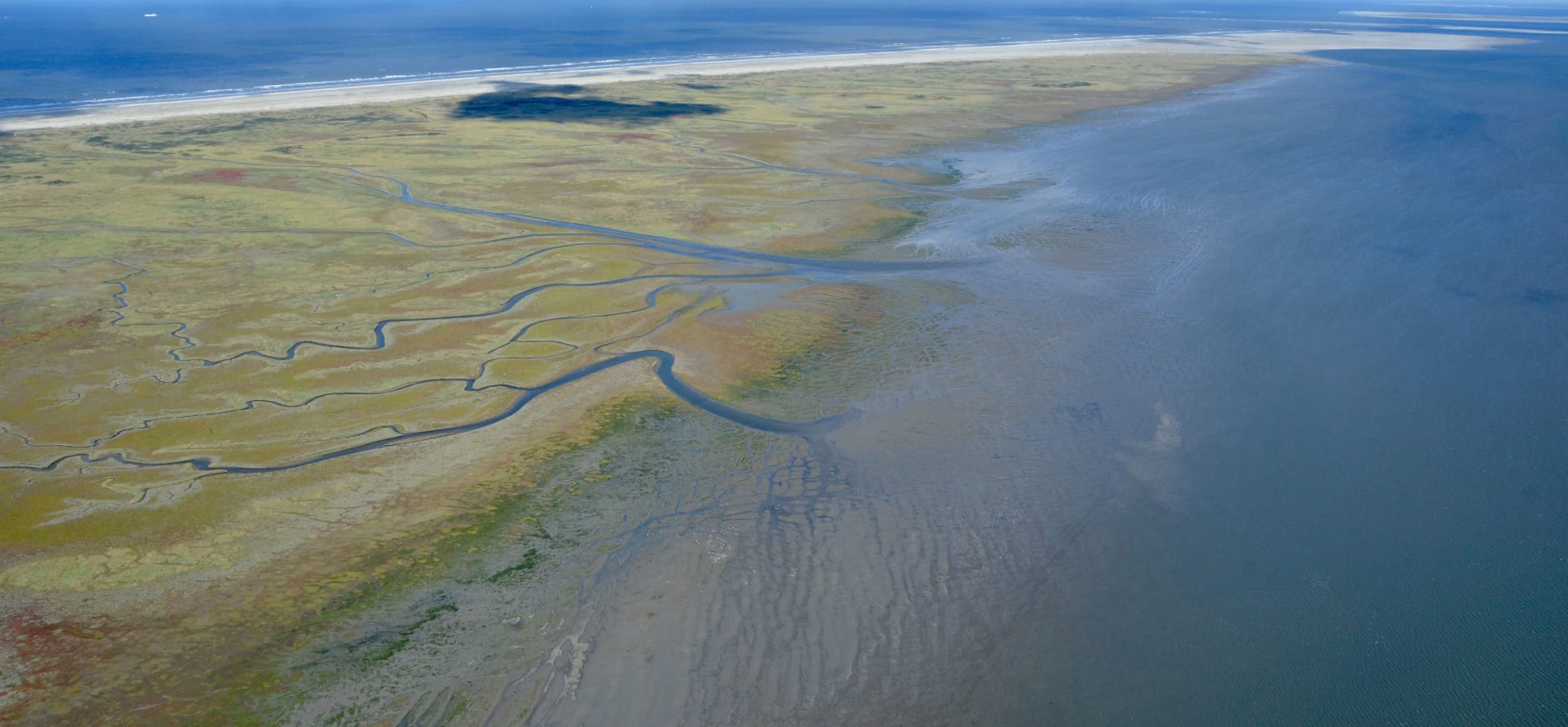 Waddenzee onder spanning | Natuurmonumenten
