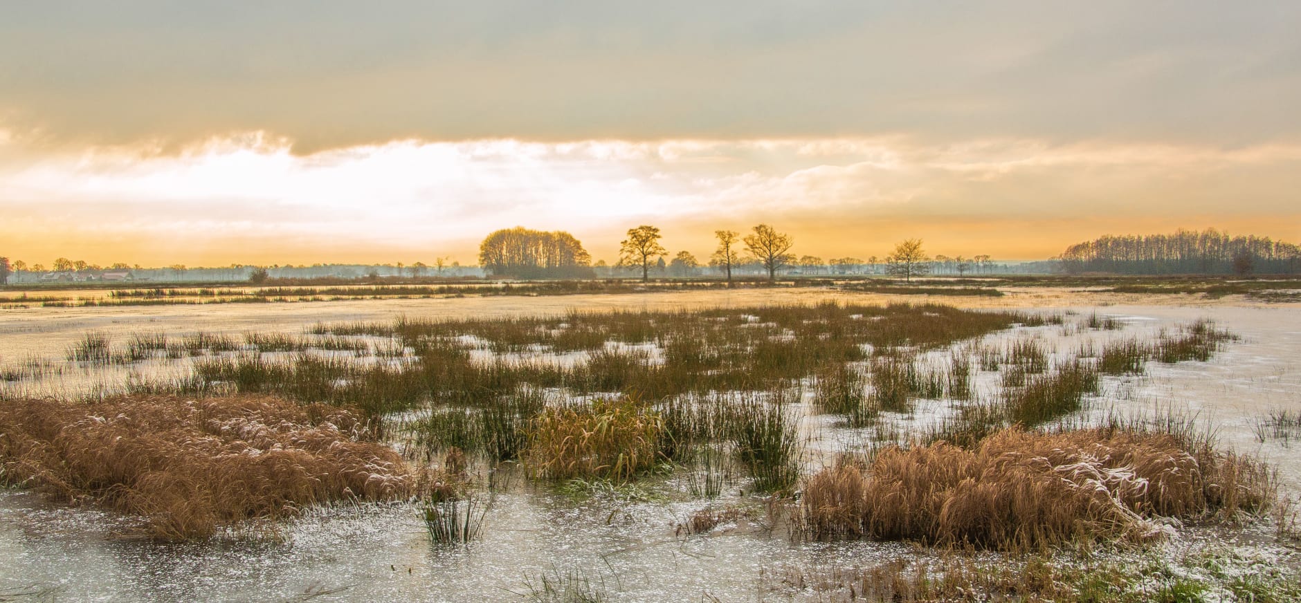 Soerense broek