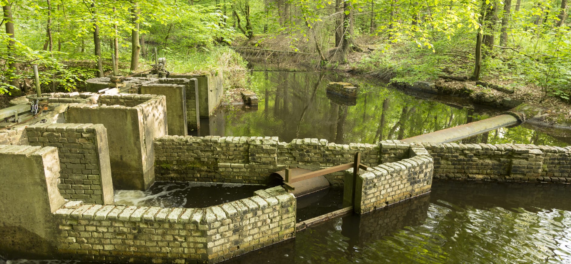 Groepsexcursie Waterloopbos- Wandelen met waterloopkundig gids