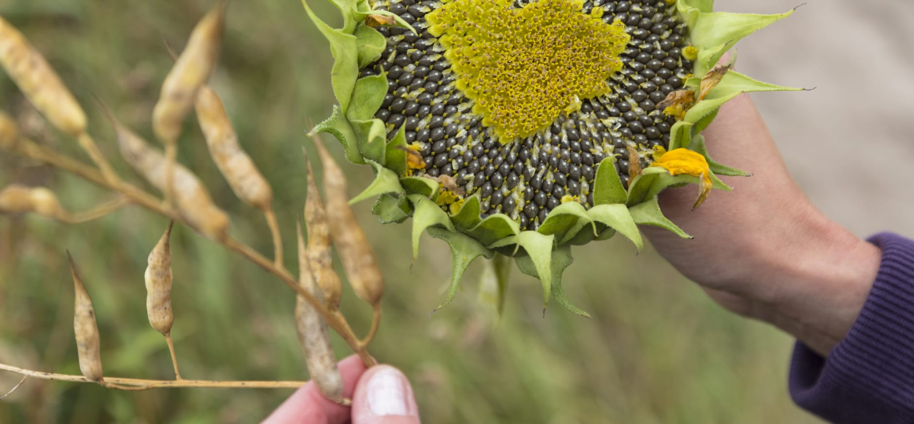 hart voor natuur