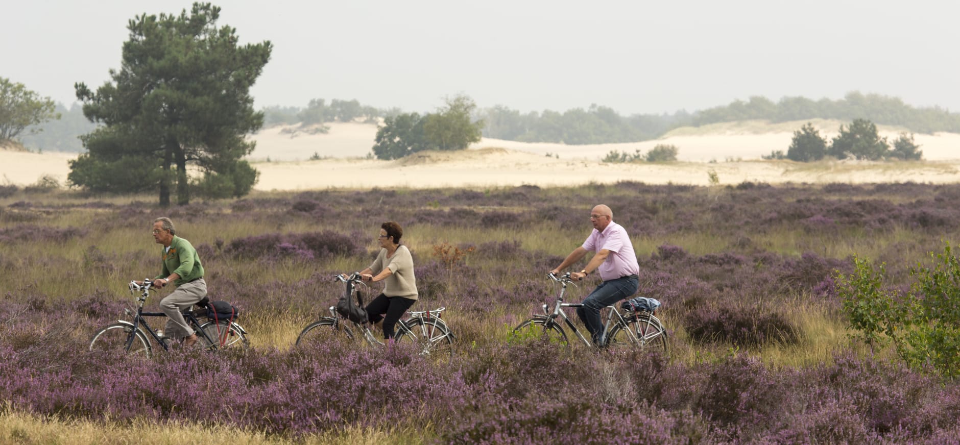 Genieten van de Loonse en Drunense Duinen