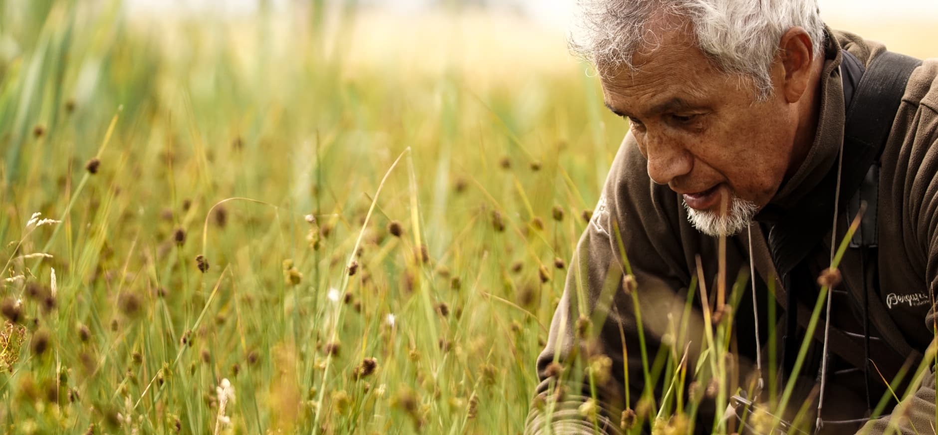 Vrijwilliger Jick met zijn neus tussen de planten