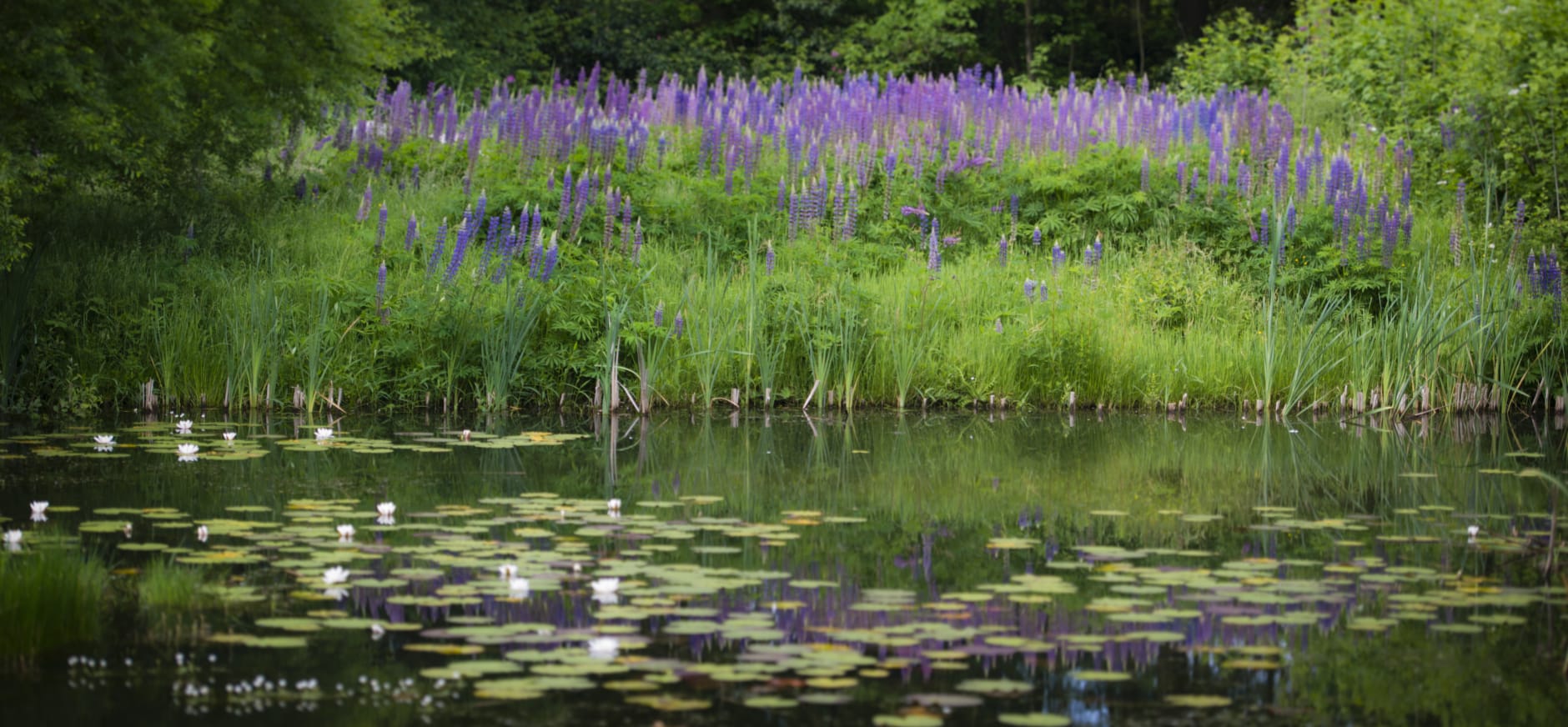 arboretum jose gieskes