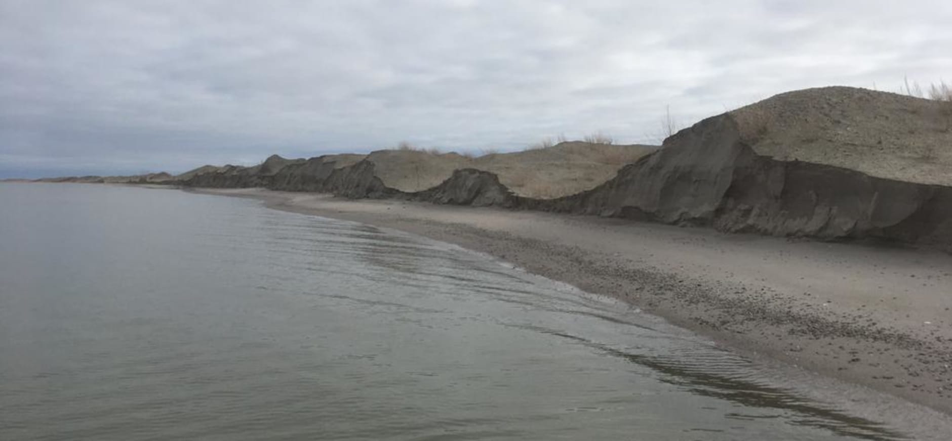 Vliegende vissen op Marker Wadden