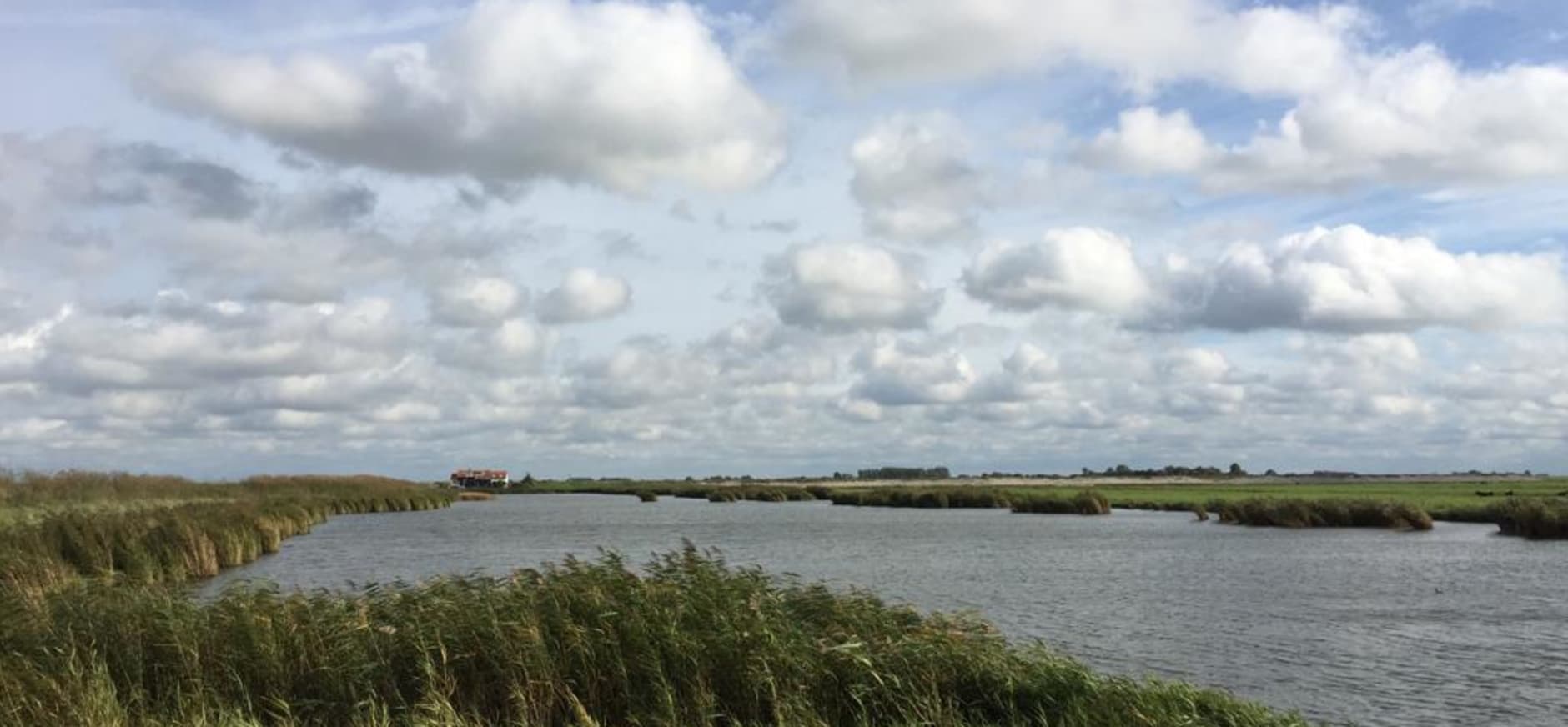 Zicht over de Pit Korendijkse Slikken