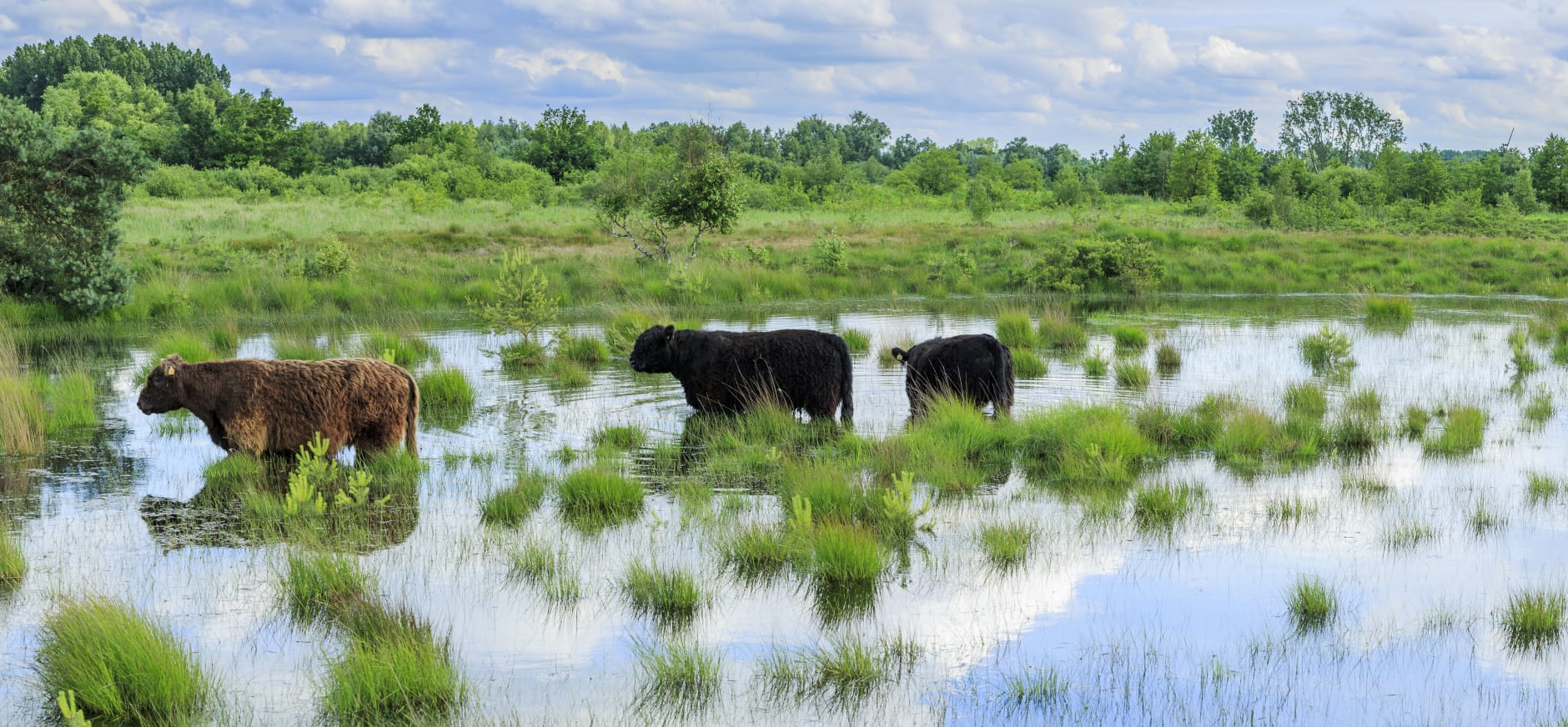 Pygmalion aangrenzend Spaans De Plateaux - Natuurgebied | Natuurmonumenten