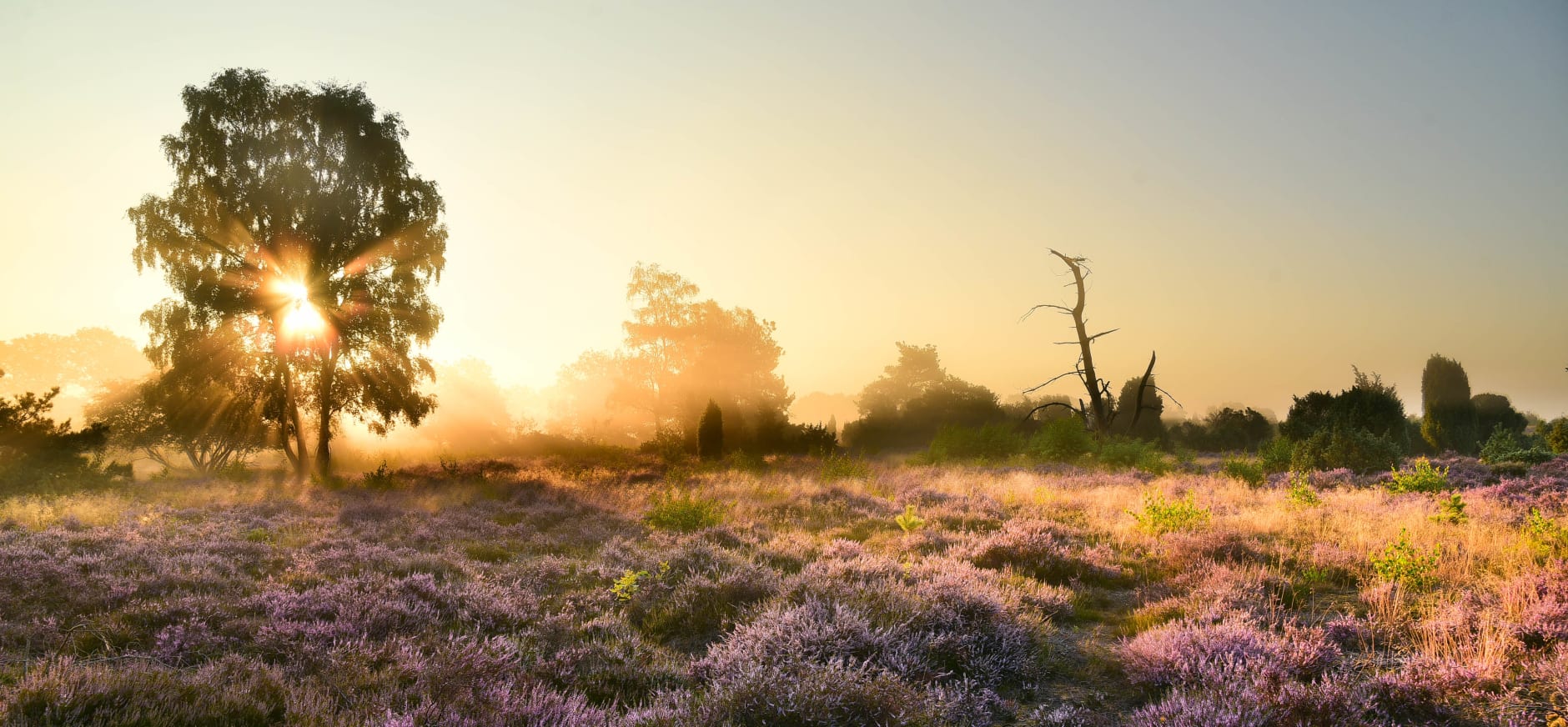 Landschap Nijverdalseberg