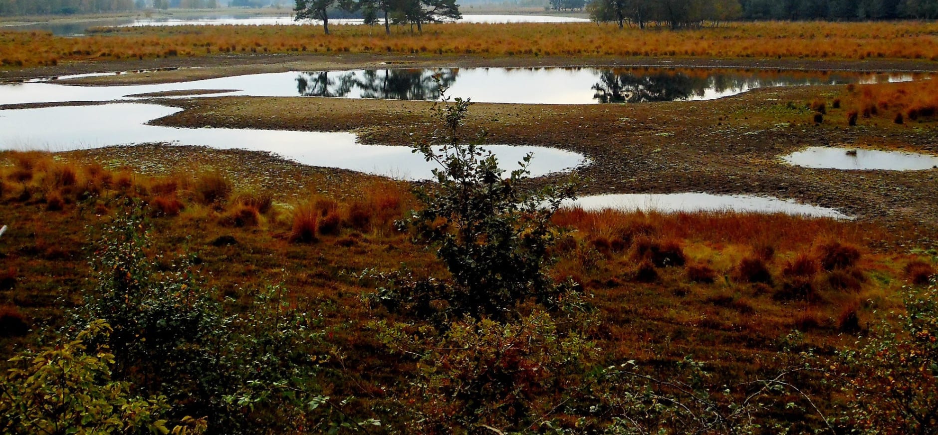 vennengebied huis ter heide