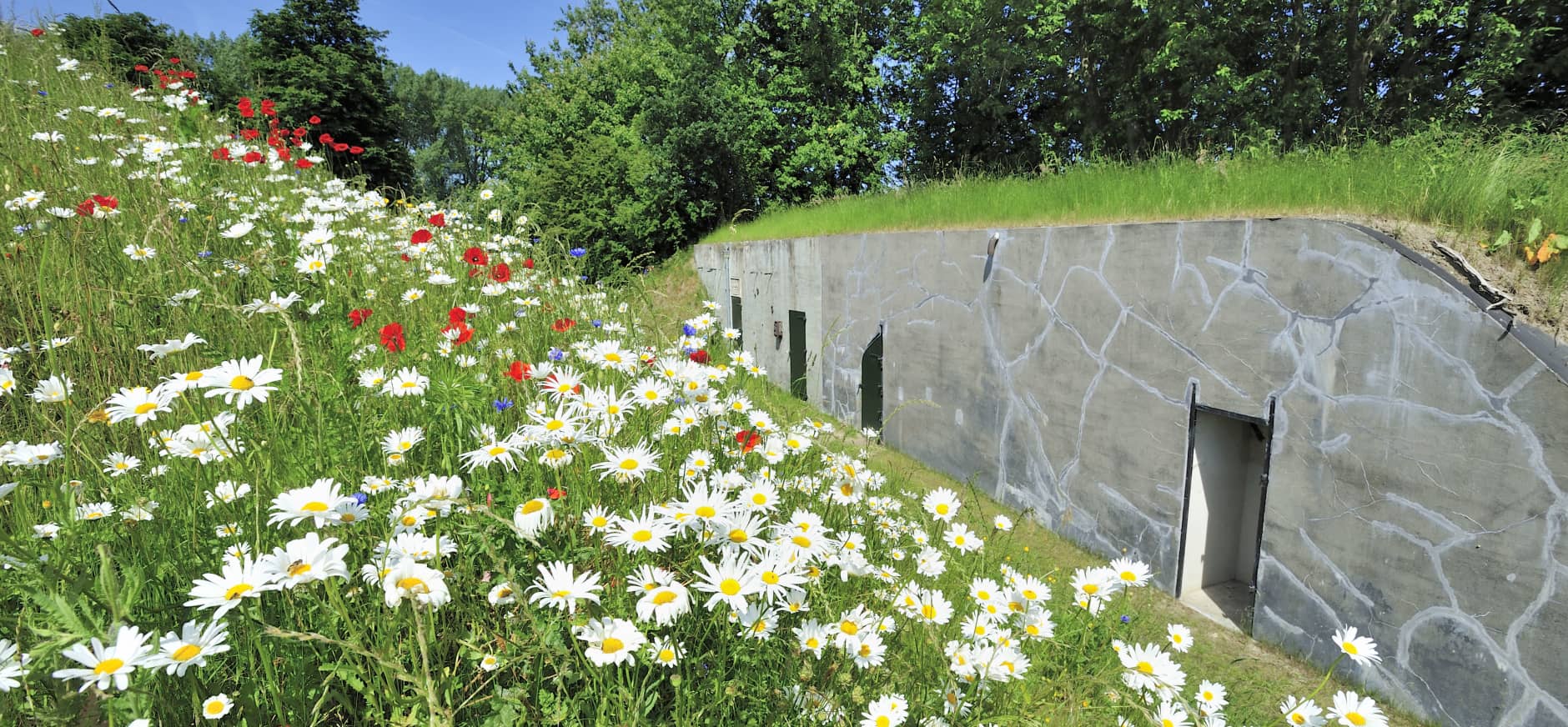 Nieuwe Hollandse Waterlinie | Natuurmonumenten