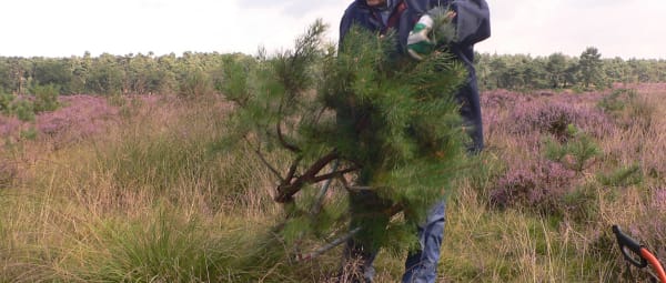 Natuurwerkdag heide