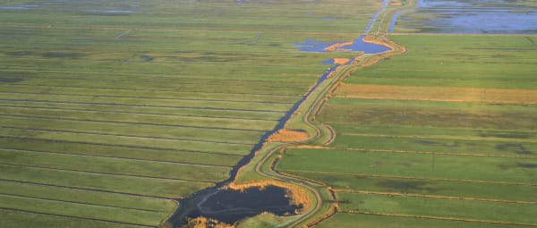 Luchtfoto van Waaien