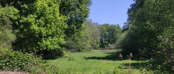 Kleinschalig landschap Volmolen