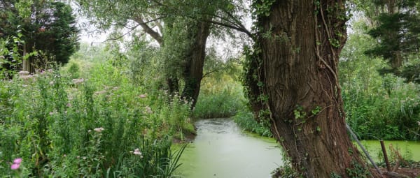 Essenburgpark Rotterdam