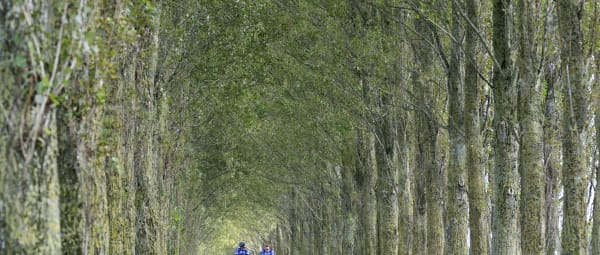 Kardinge fietspad