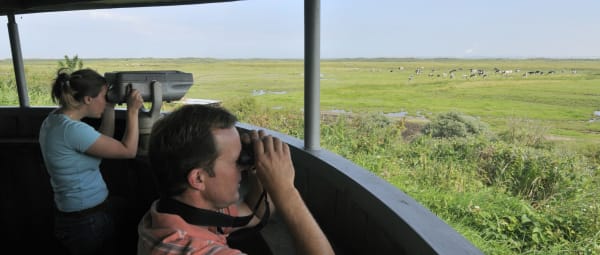 Duinen van Goeree uitkijkpunt