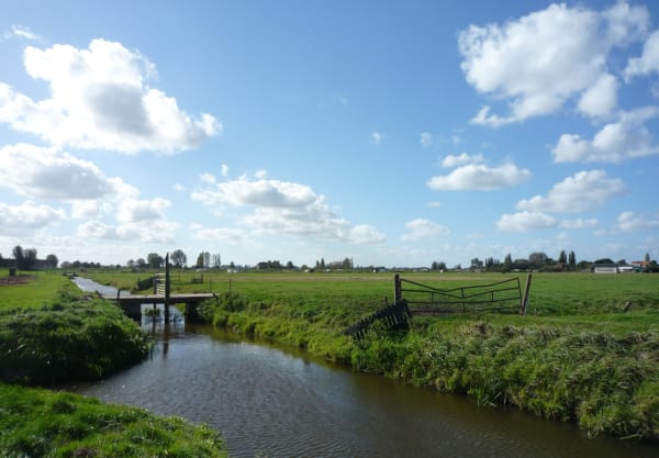 De geheimzinnige oude Tempel