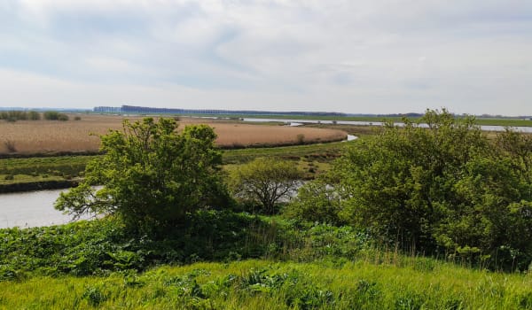 Uitzicht op Scheelhoek