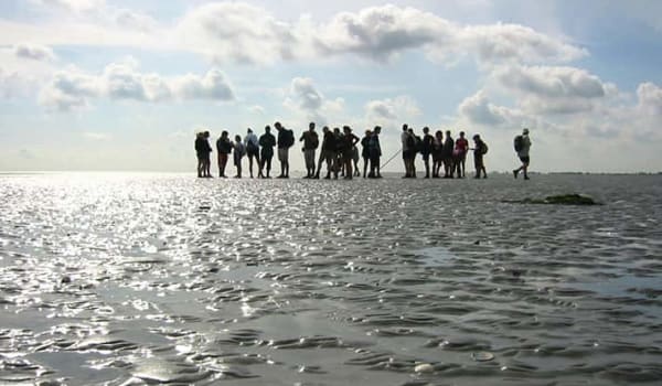 Waddenzee