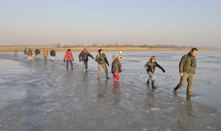 Wandelen over de Middelplaten - Zeeland