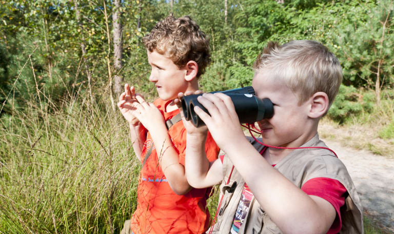 Speurtocht voor kinderen naar vlinders en bloemen