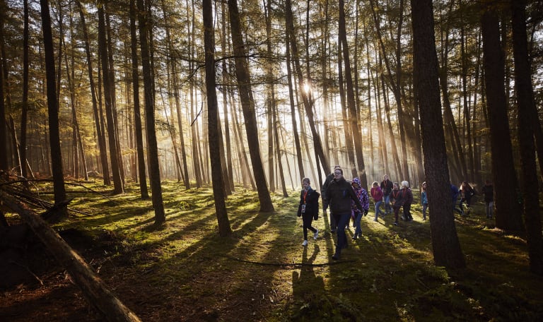 OERRR Dauwtrappen en ontbijten met het hele gezin in 's-Graveland