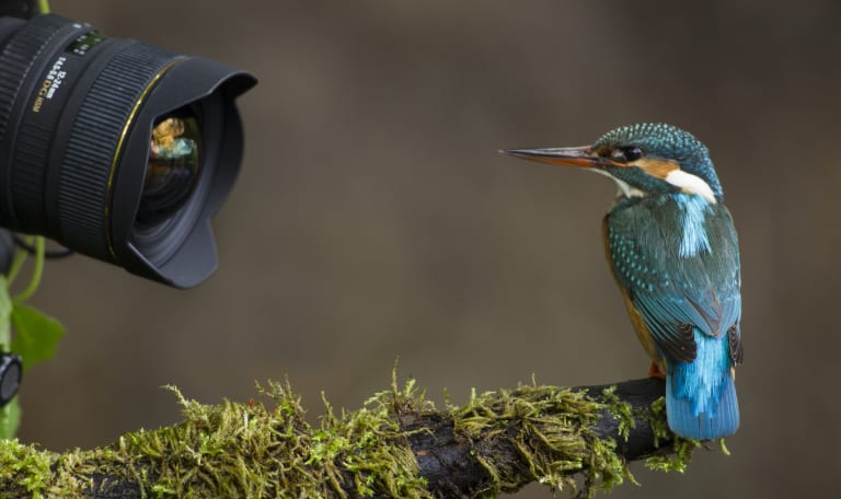 Varen en fotograferen in vogelparadijs de Pot