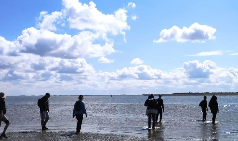 Wadlas - Wadlopen bij Schiermonnikoog