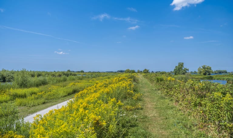 Stiltewandeling 