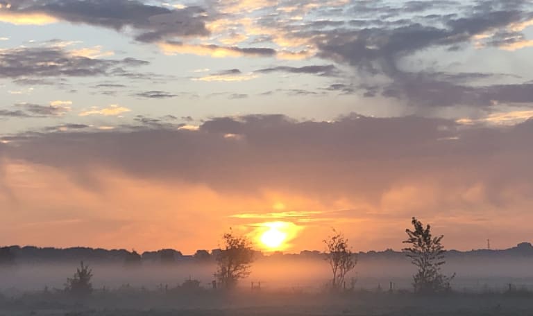 zonsopgang over de onlanden 