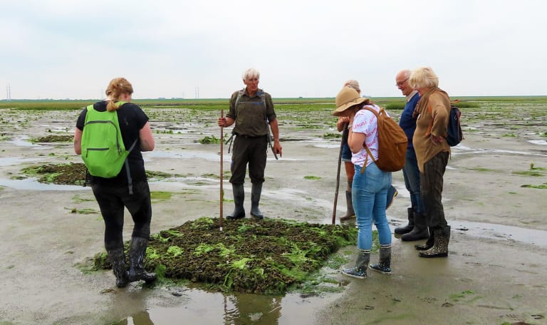 Verdronken Land van Zuid-Beveland