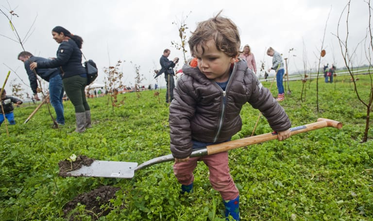 Parkbos Haarzuilens 2015