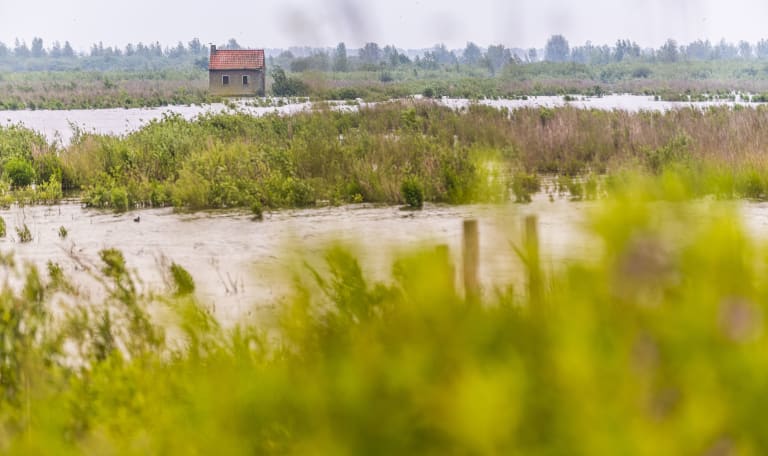 waterrijke natuur