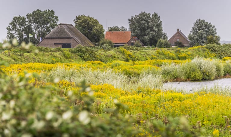 De planten van Tiengemeten