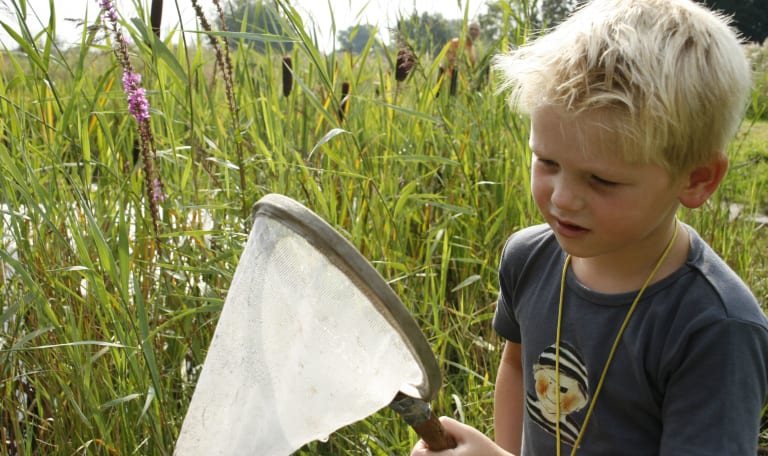 kleine beestjes