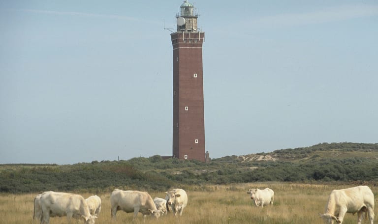 Vuurtoren Ouddorp 