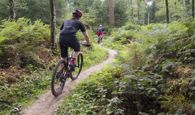 Mountainbiken in het Bergherbos