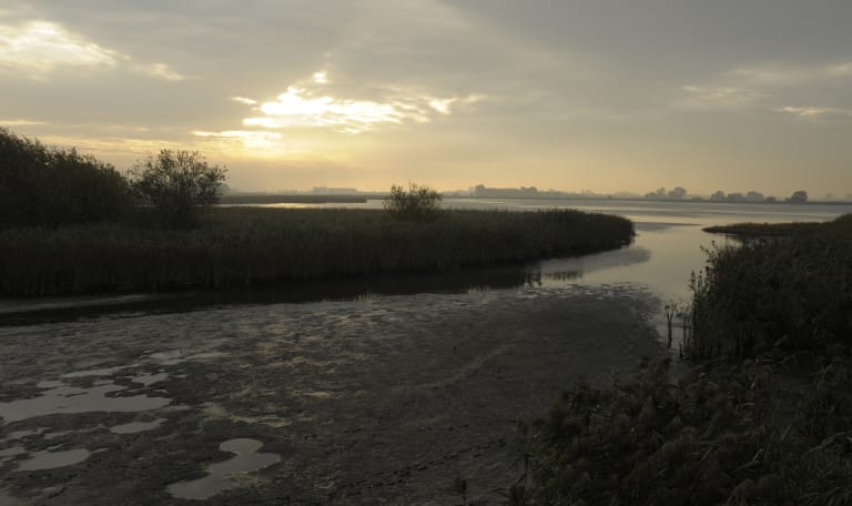 Vaar mee naar Vogeleiland terwijl de zon opkomt