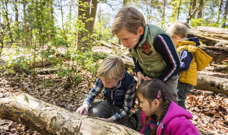 natuurbeleven VZ