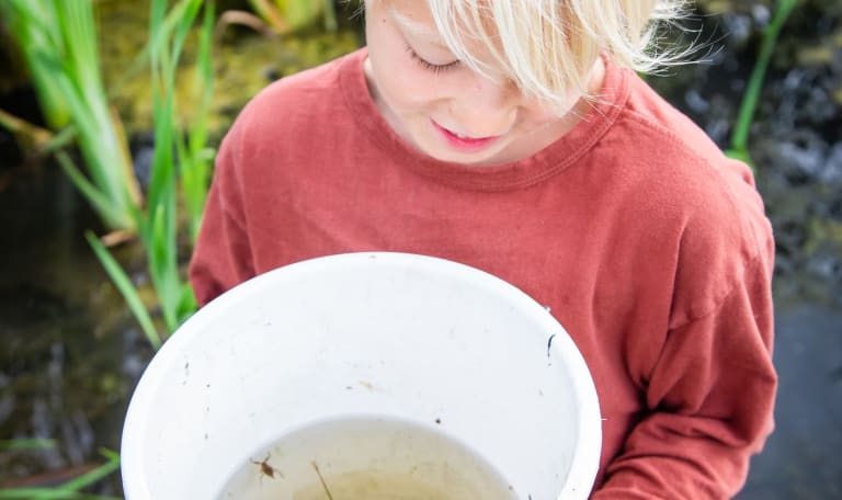 waterbeestejes