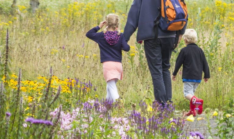 Nazomerwandeling met de boswachter