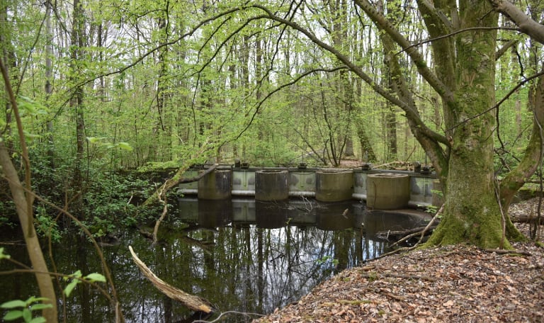 Ontdek de waterwerken in het Waterloopbos