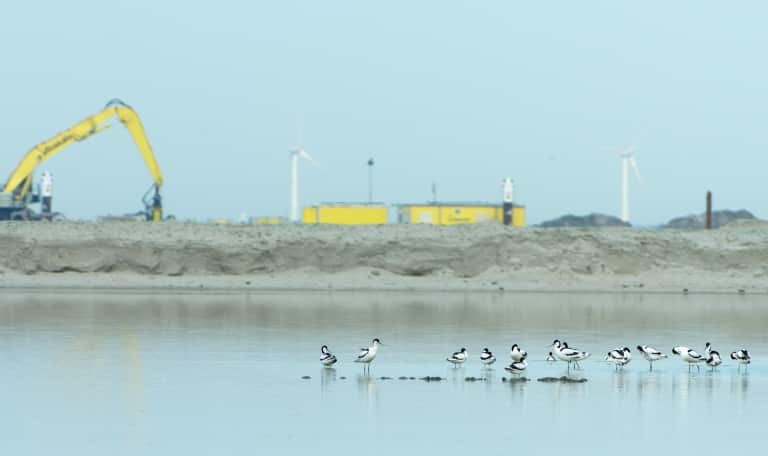 Marker Wadden