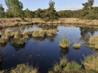 Wandelroute de Huisvennenroute, vlak bij Boxtel