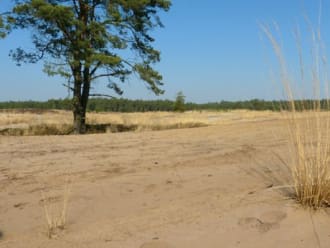 Wandelroute Mier, vlak bij Ossendrecht