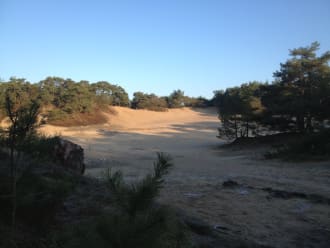 Wandelroute Zwarte Berg, vlak bij Drunen