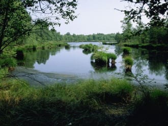 Wandelroute het Witte Veen