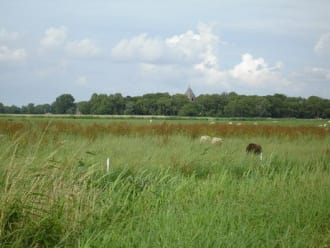 Wandelroute Biessumerbos en Voolhok (Groningen)