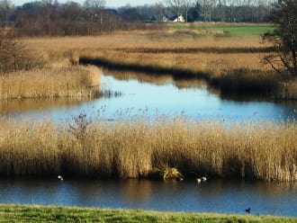 Wandelroute Waverhoek, vlak bij de Vinkeveense plassen