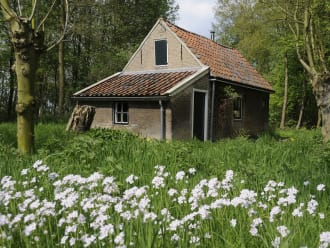 Eendenkooi Het Aalkeetbuiten